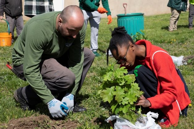 A young female student plants a sapling while a male from Bartlett Tree Experts looks on.