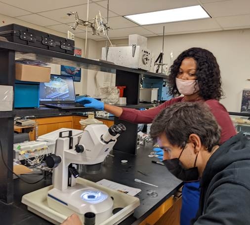 OW students working with eusocial snapping shrimp, Synalpheus brooksi, in Summer 2022.