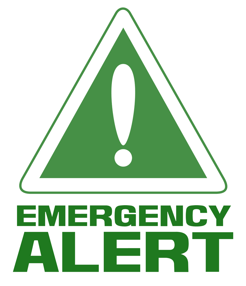 Green triangle with a white exclamation point with text that reads Emergency Alert