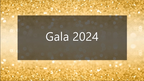 Gala 2024 written over gold bubbles
