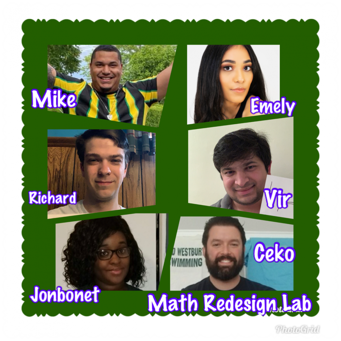 Math redesign lab member