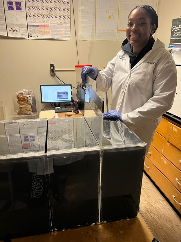 Geanelle R. Sam conducting a behavioral neuroscience experiment at SUNY Old Westbury. 