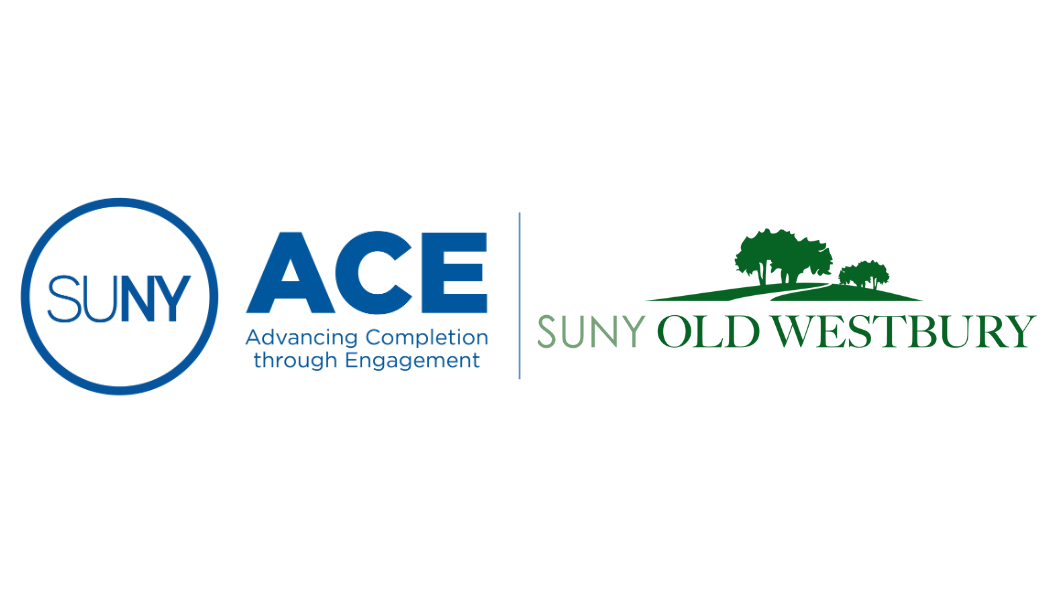 ACE Program with OW Logo