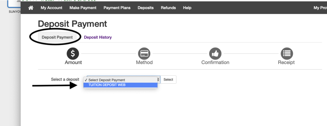 Deposit Payment page with TUITION DEPOSIT WEB selected in the drop-down