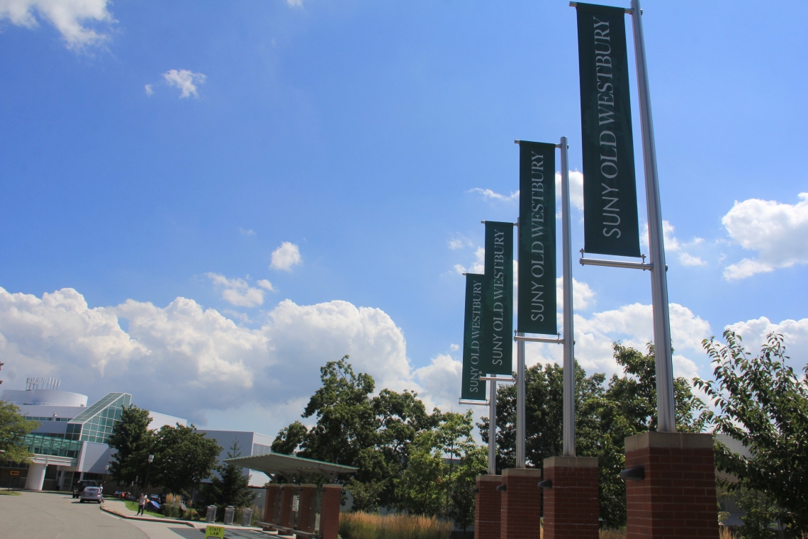 Campus flags at NAB on sunny day