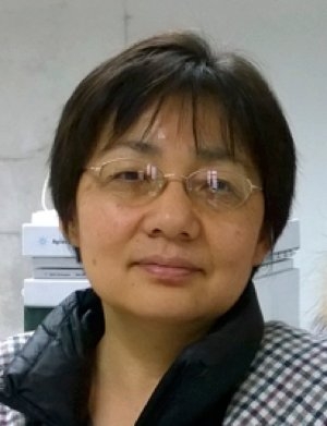 Ruomei Gao, Ph.D.