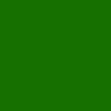 Campus Pantone Green