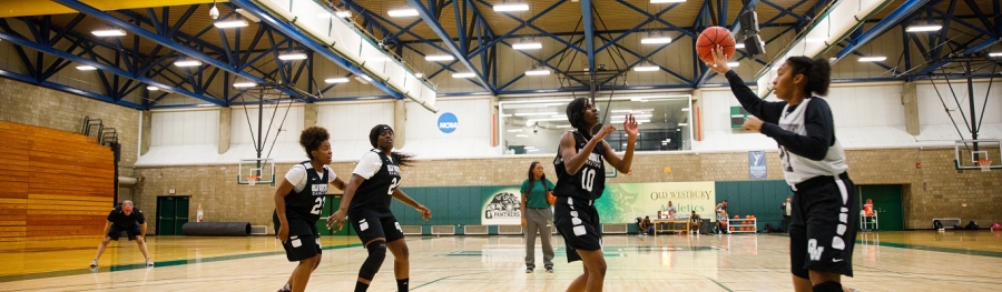 The Panther Women's basketball team during practice