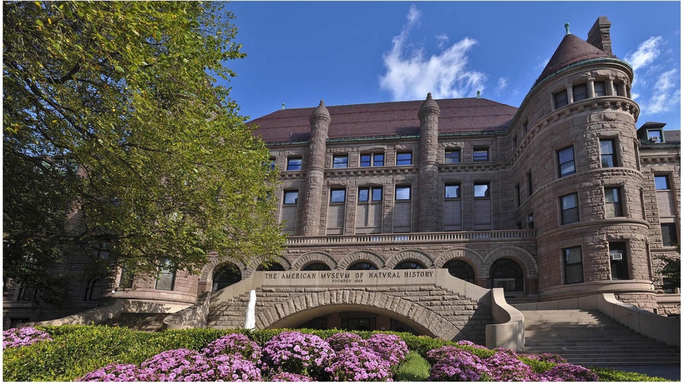 The American Museum of Natural History Building
