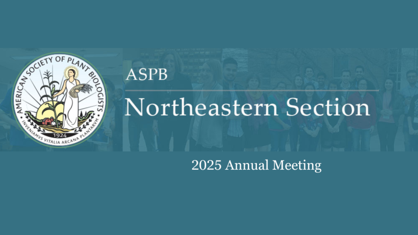White text on blue-gray background that reads Northeast Section Annual Meeting