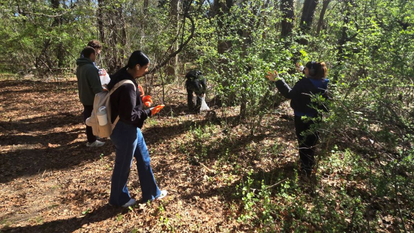 Four young adults picking up litter along a wooded pathway