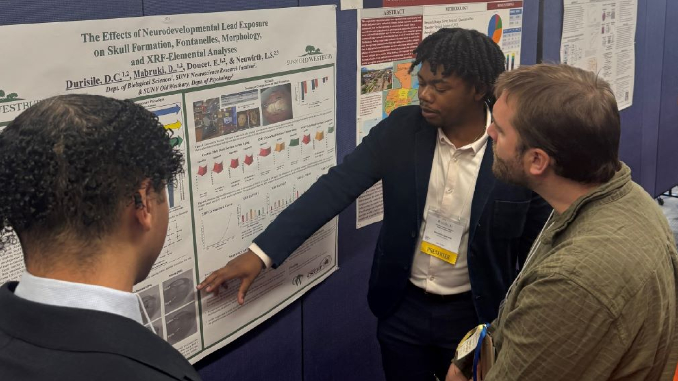 Young African American male points to a figure on a scientific poster for two others standing nearby