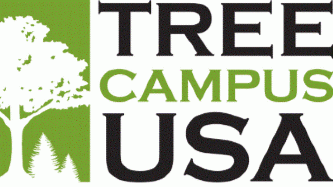 Green and black logo with silouhettes of trees