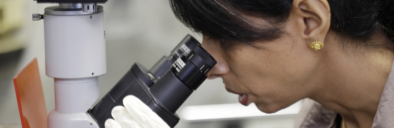 Dr. Manya Mascareno using a microscope in her lab.