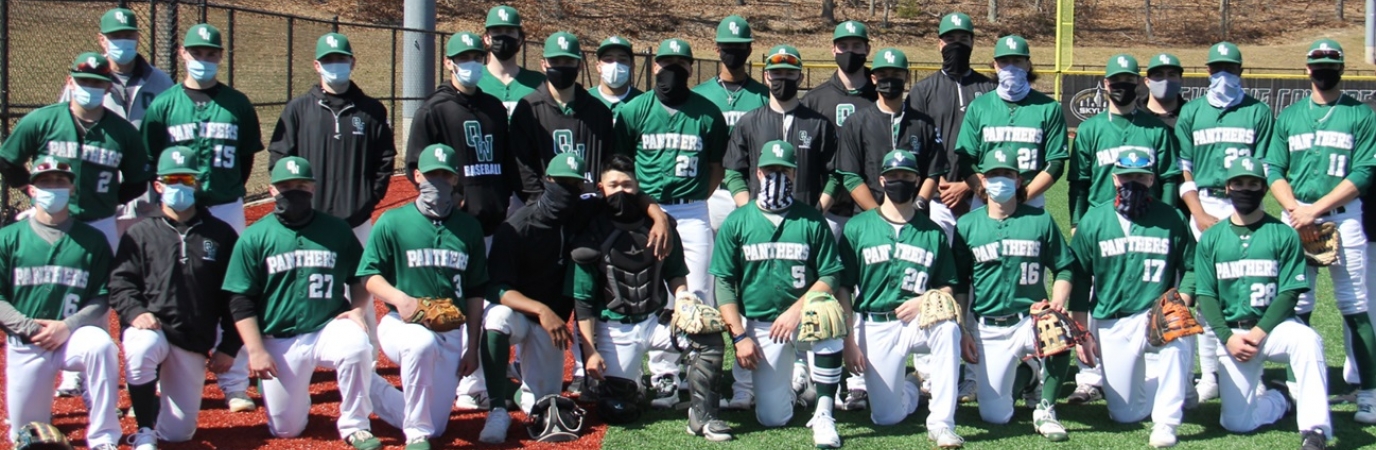 Team photo of 2021 baseball team with players in green jerseys