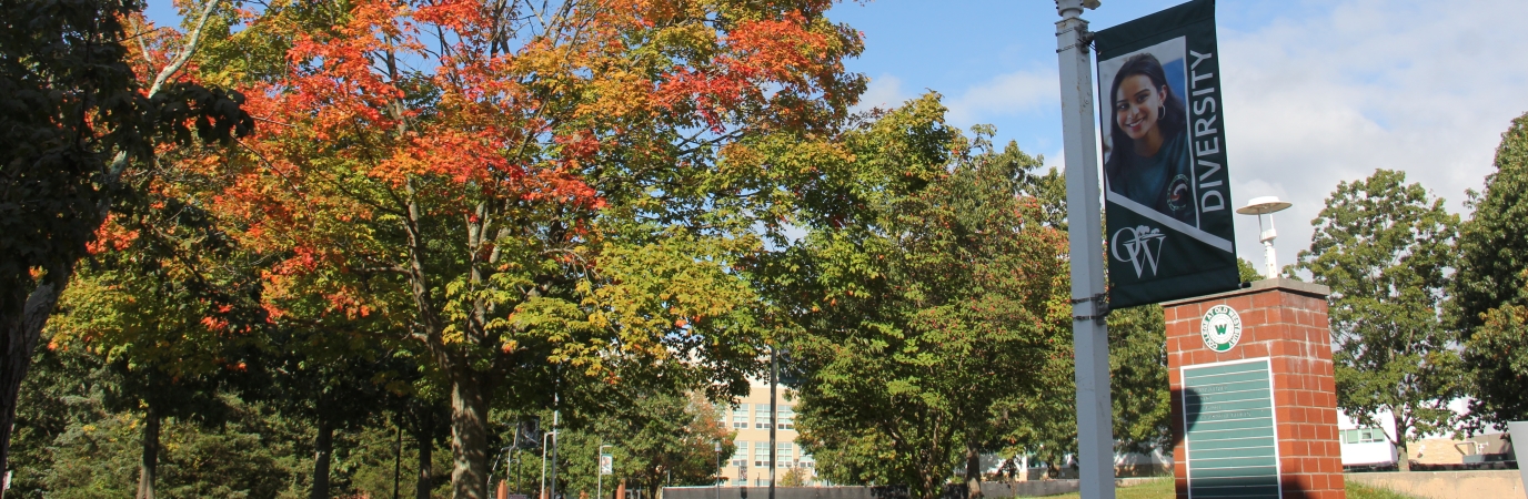 Tress during Fall at SUNY Old Westbury