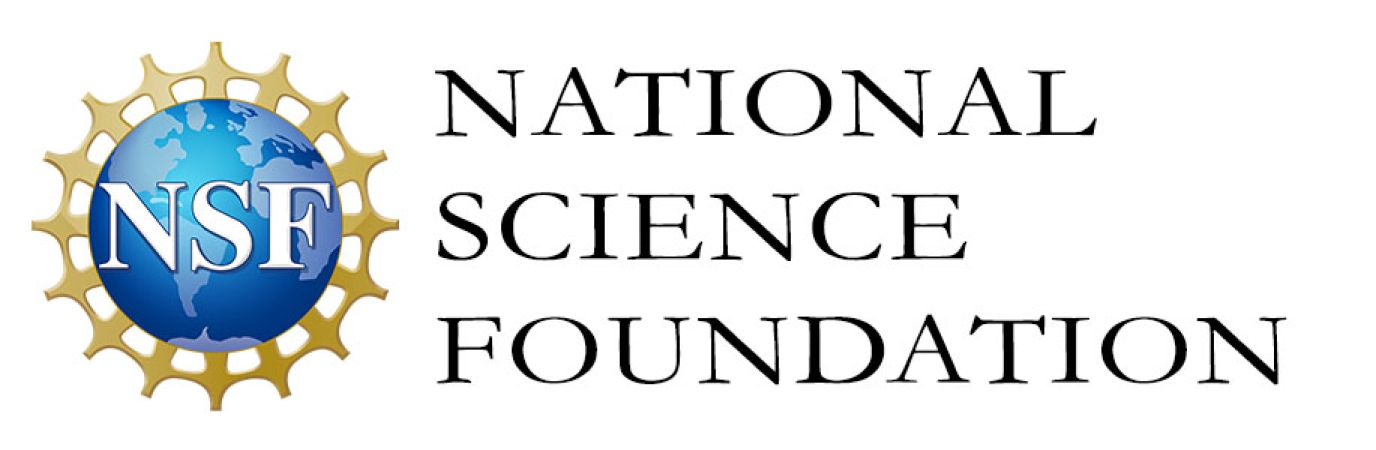 National Science Foundation Logo 