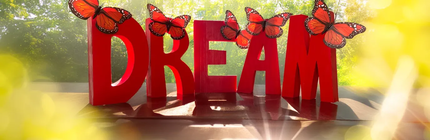 Dream Butterfly