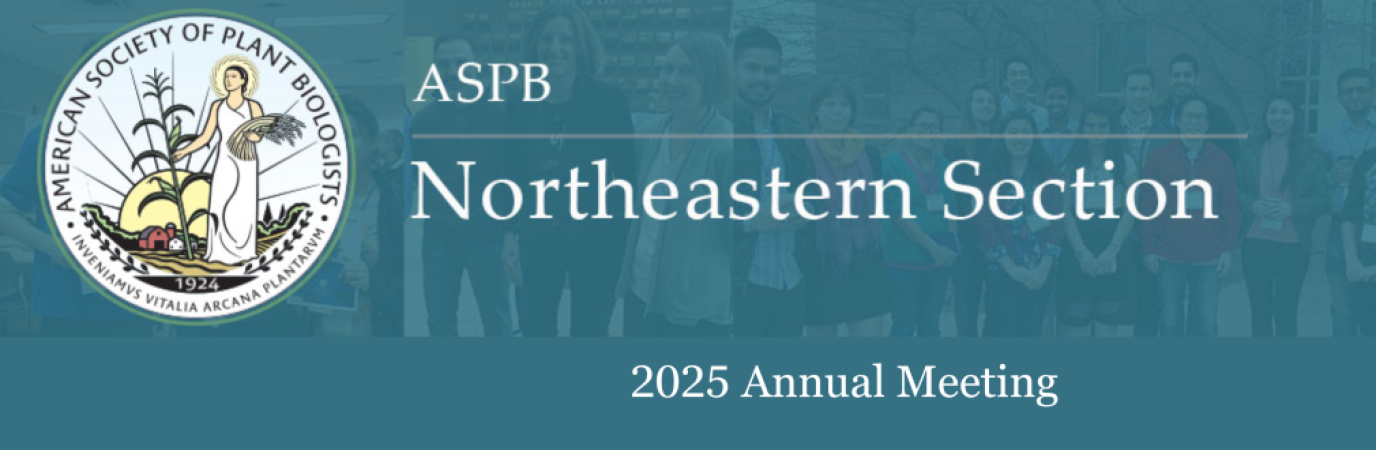 White text on blue-gray background that reads Northeast Section Annual Meeting