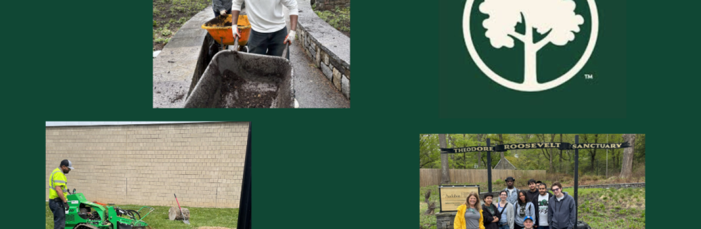 Collage of photos showing students and staff engaged in planting activitiies