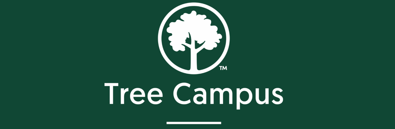 white text on green field that reads Three Campus 2024 The Arbor Day Foundation