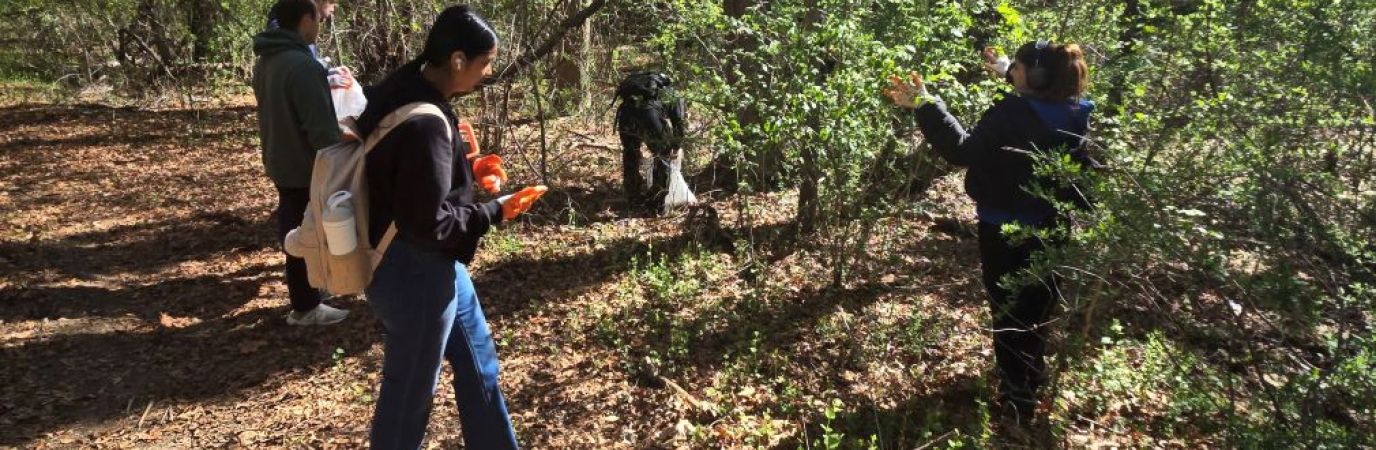 Four young adults picking up litter along a wooded pathway