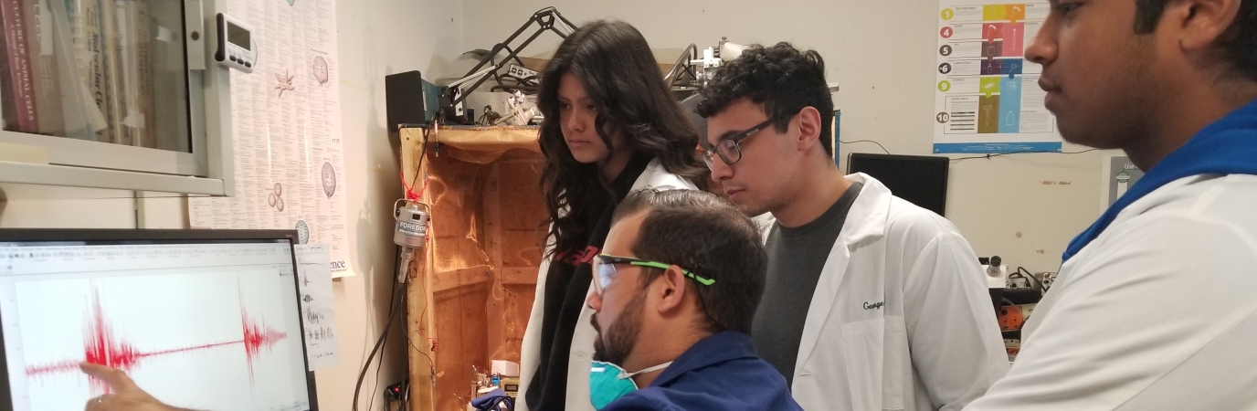 Professor Neuwirth in his lab with students