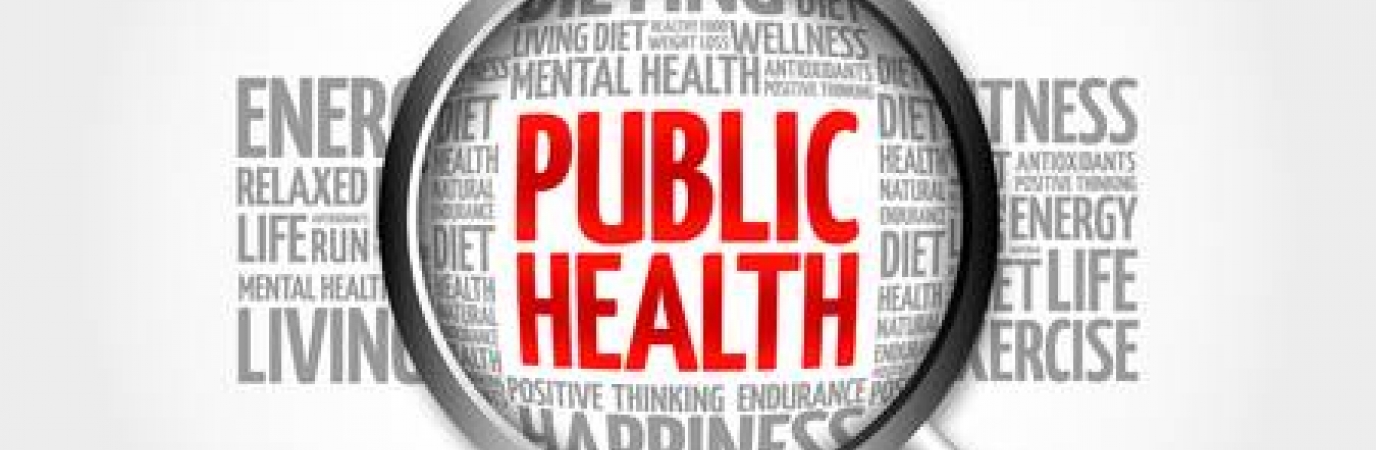 Word cloud with Public Health as the most prominent health/wellness term