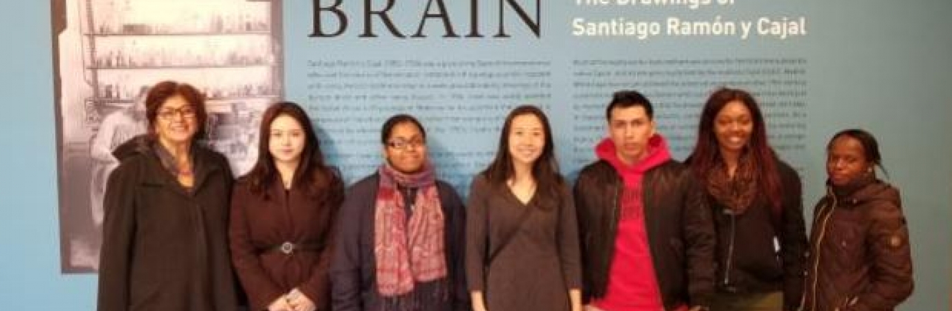 Students at the Beautiful Brain exhibit