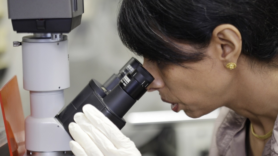 Dr. Mascareno using a microscope