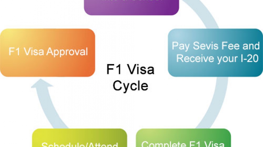 Multi-color flow chart showing the visa process