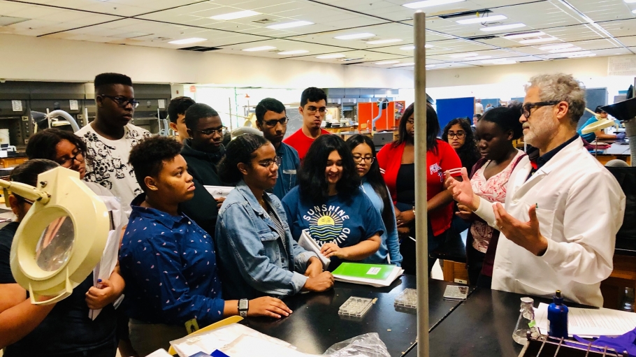 2019 Summer Research