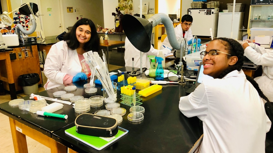 2019 Phage Hunting
