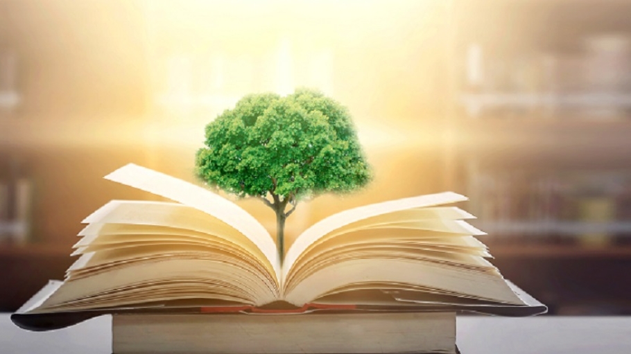 A small tree growing out of an open book