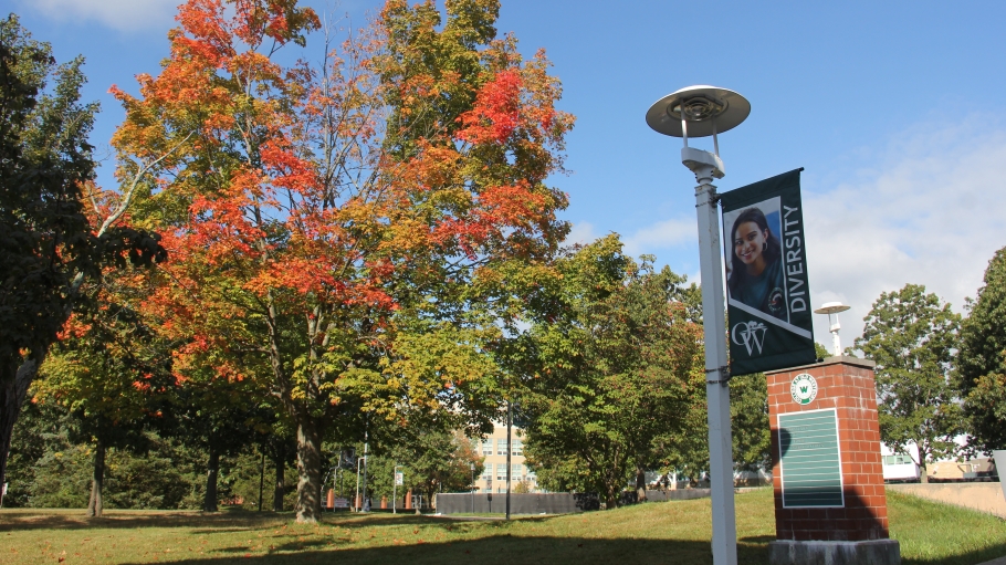 Tress during Fall at SUNY Old Westbury