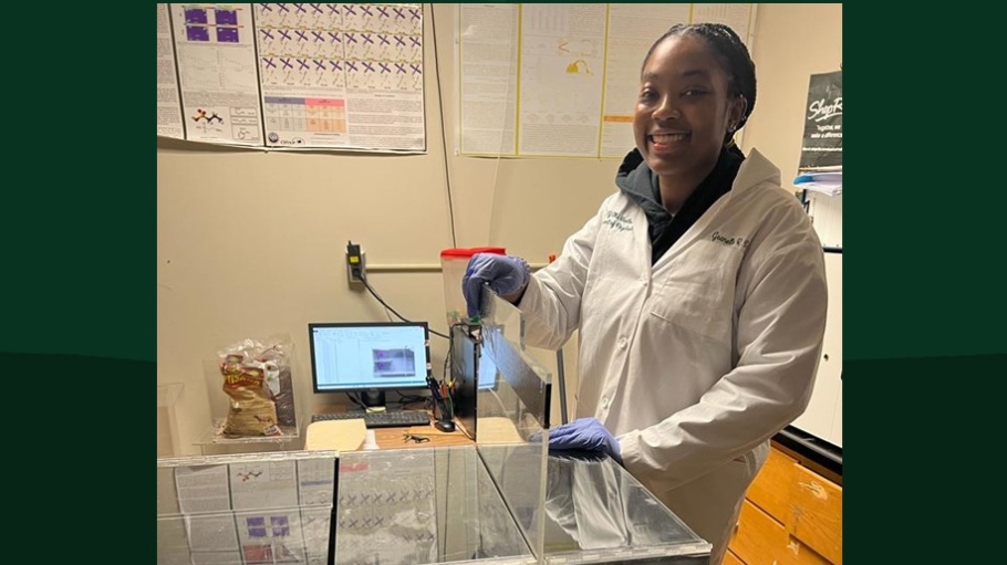 Geanelle R. Sam conducting a behavioral neuroscience experiment at SUNY Old Westbury. 