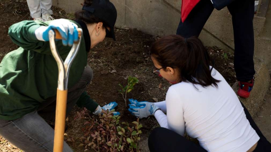 Two female students plant a tree 