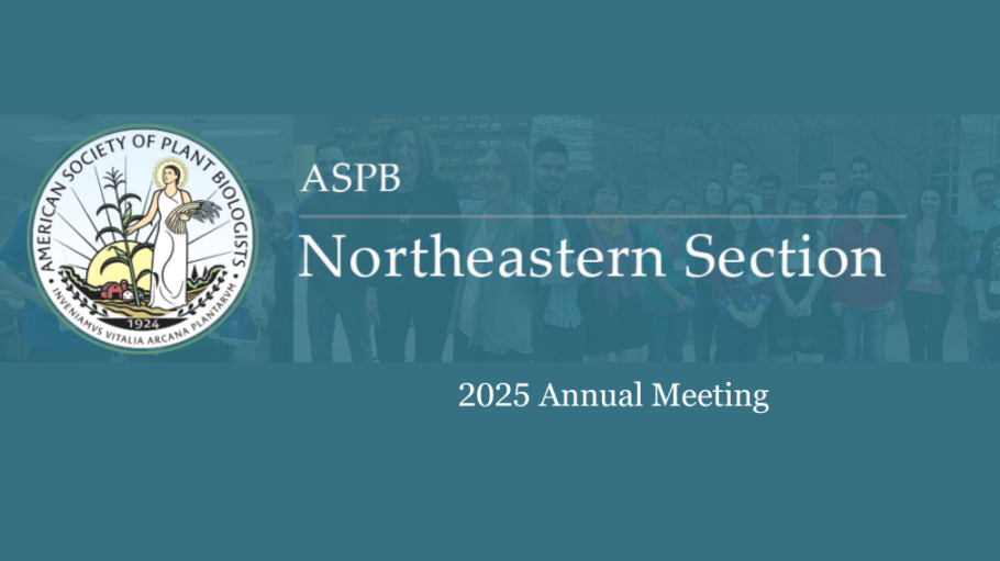 White text on blue-gray background that reads Northeast Section Annual Meeting 