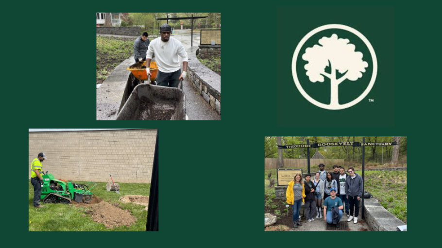 Collage of photos showing students and staff engaged in planting activitiies