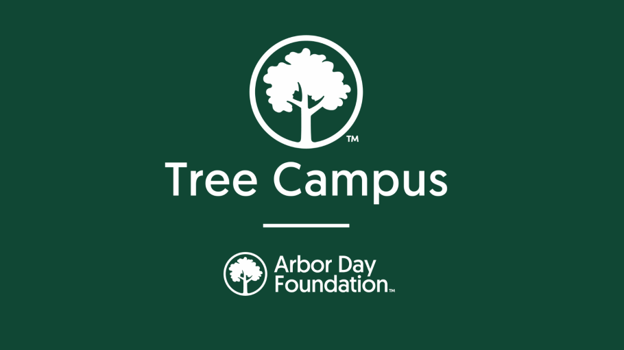 white text on green field that reads Three Campus 2024 The Arbor Day Foundation