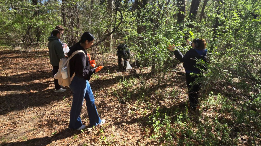 Four young adults picking up litter along a wooded pathway