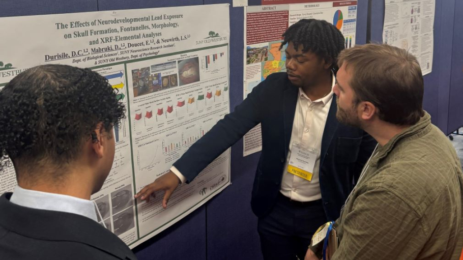 Young African American male points to a figure on a scientific poster for two others standing nearby