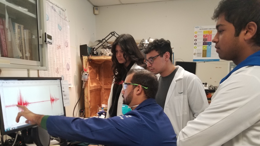 Professor Neuwirth in his lab with students