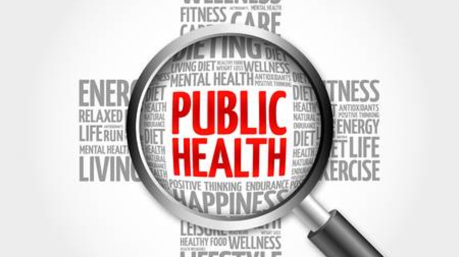 Word cloud with Public Health as the most prominent health/wellness term