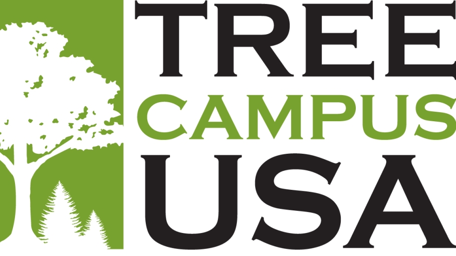 Tree Campus logo with silhouette of tree