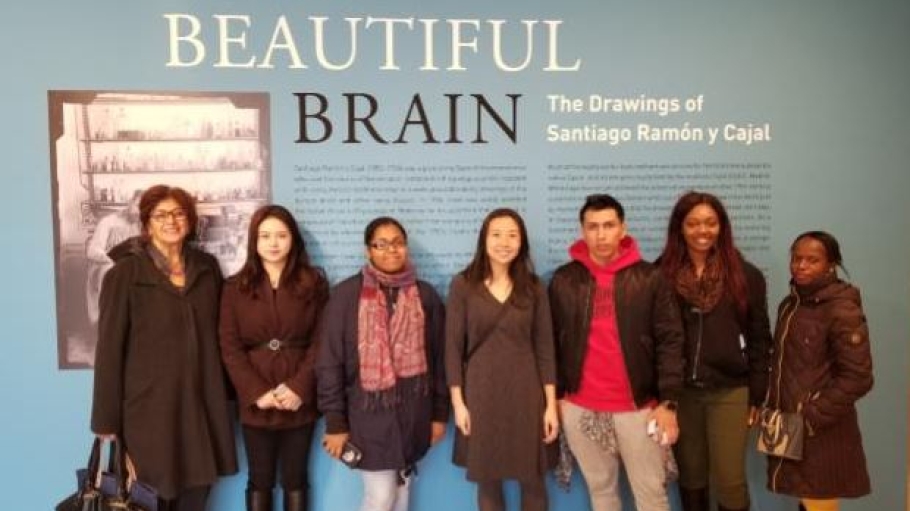 Students at the Beautiful Brain exhibit
