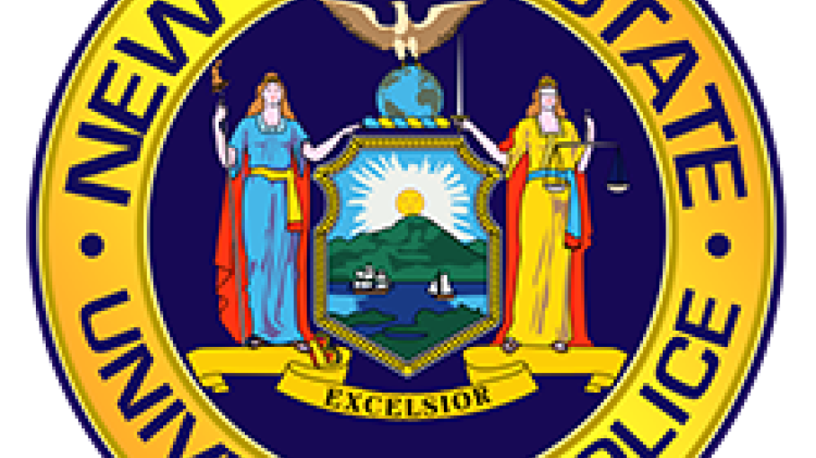 Blue and yellow seal of the State University Police