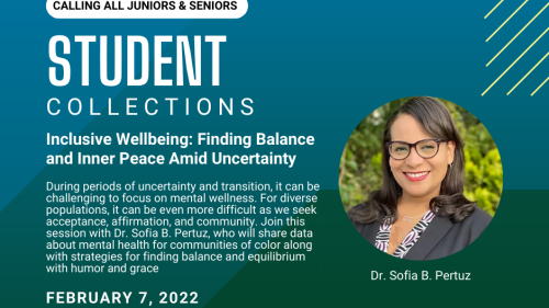 Poster Student Collections Series for Junior and Senior Students- Inclusive Wellbeing: Finding Balance and Inner Peace Amid Uncertainty