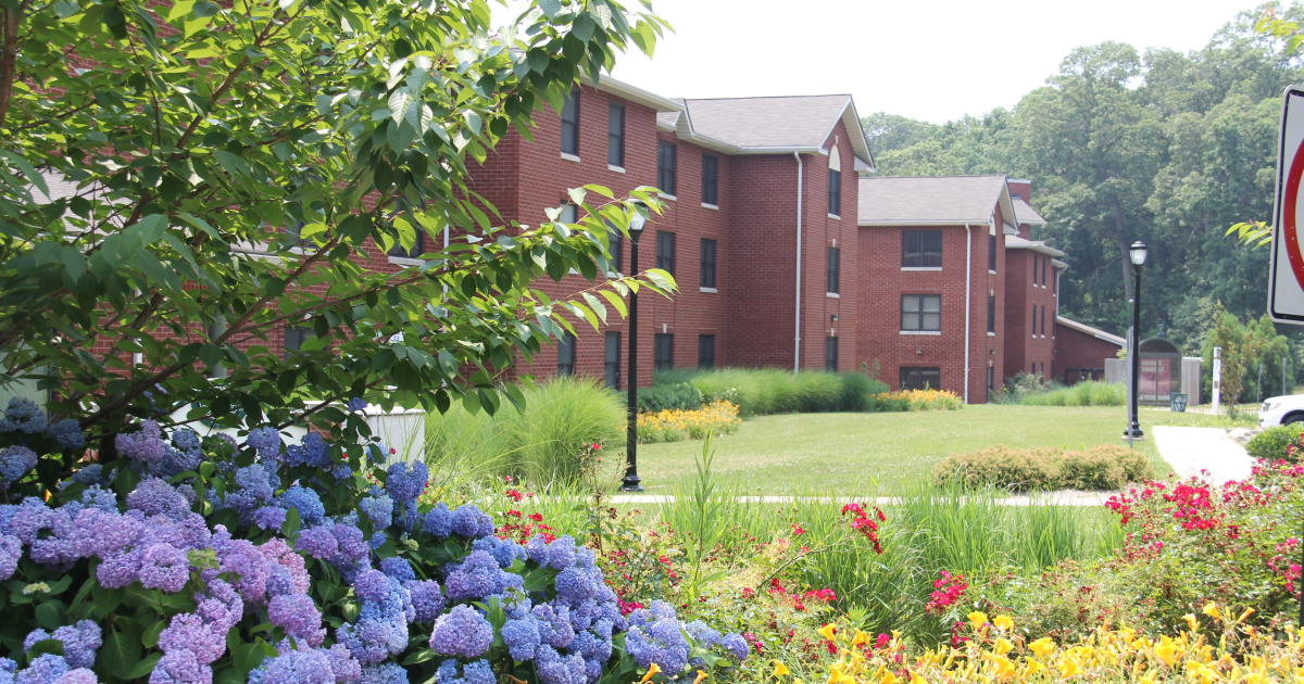 Spring 2024 Semester Begins; New Class Schedule Commences | SUNY Old Westbury Spring 2024 Semester Begins; New Class Schedule Commences | SUNY Old Westbury