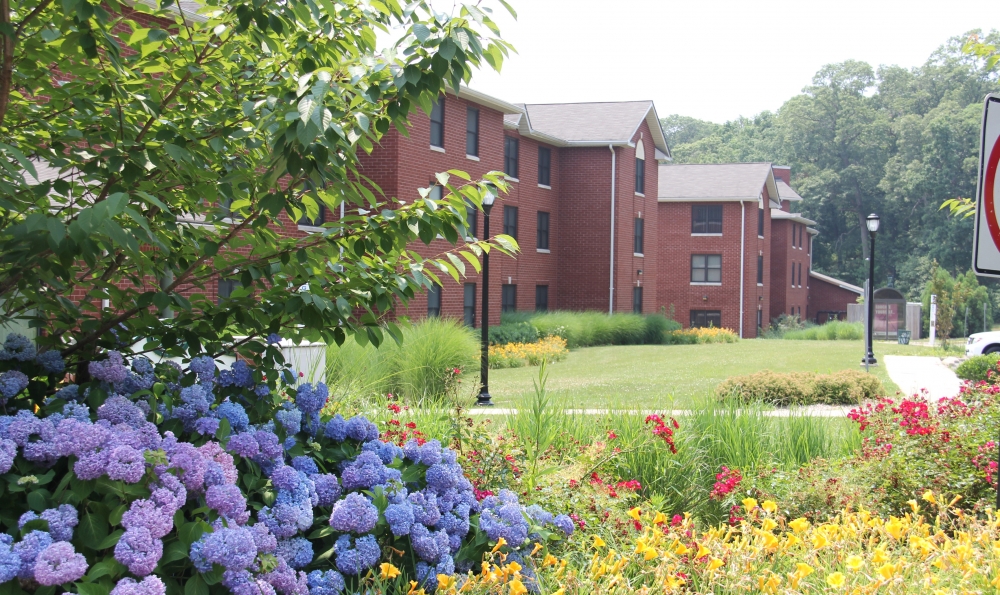 campus - external